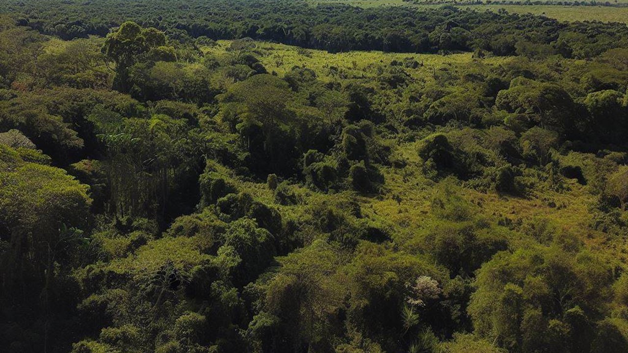 Boas Práticas Ambientais